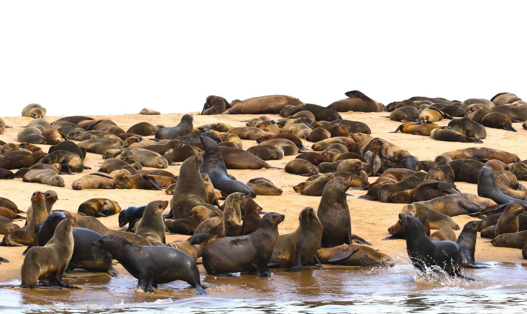 Photo 3 de Namibie