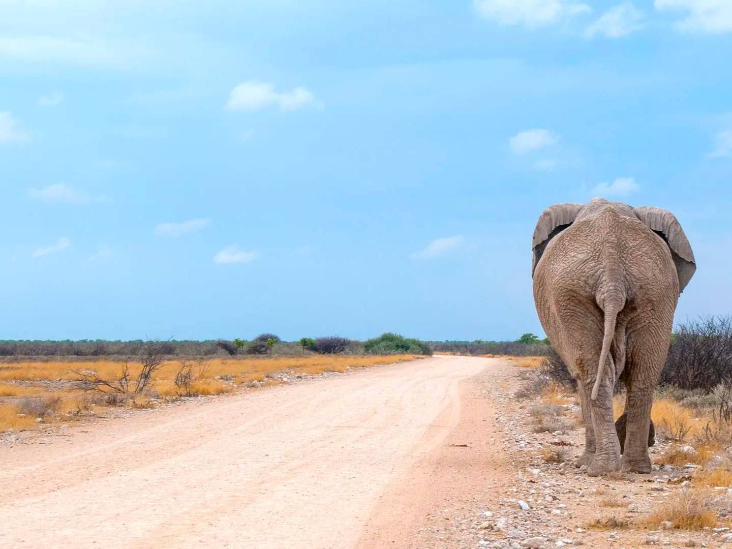 Photo 4 de Namibie