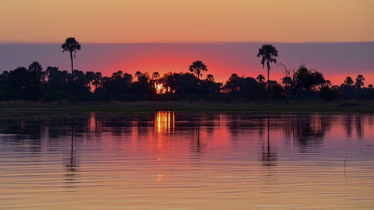 Home Zimbabwe