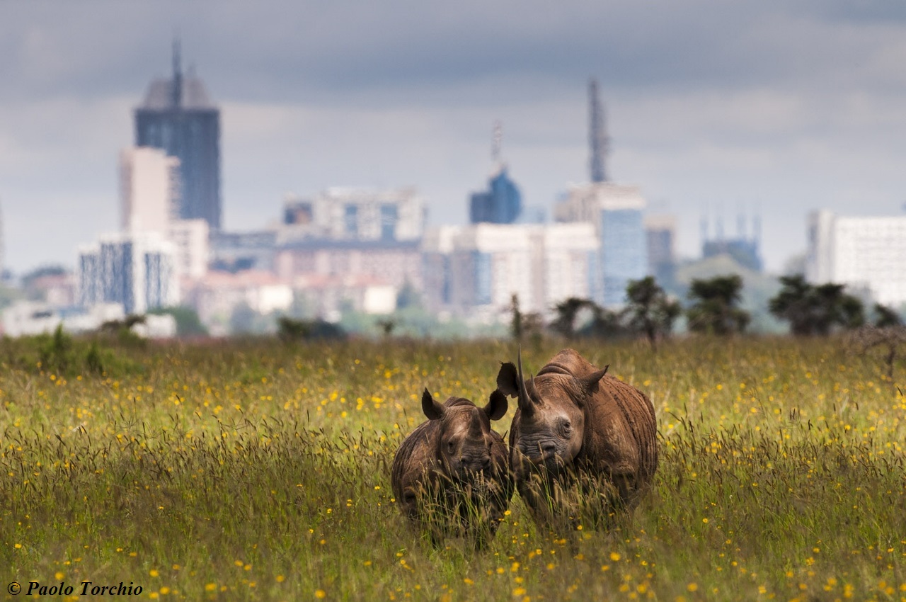 Decouvrir le Kenya nnp 17