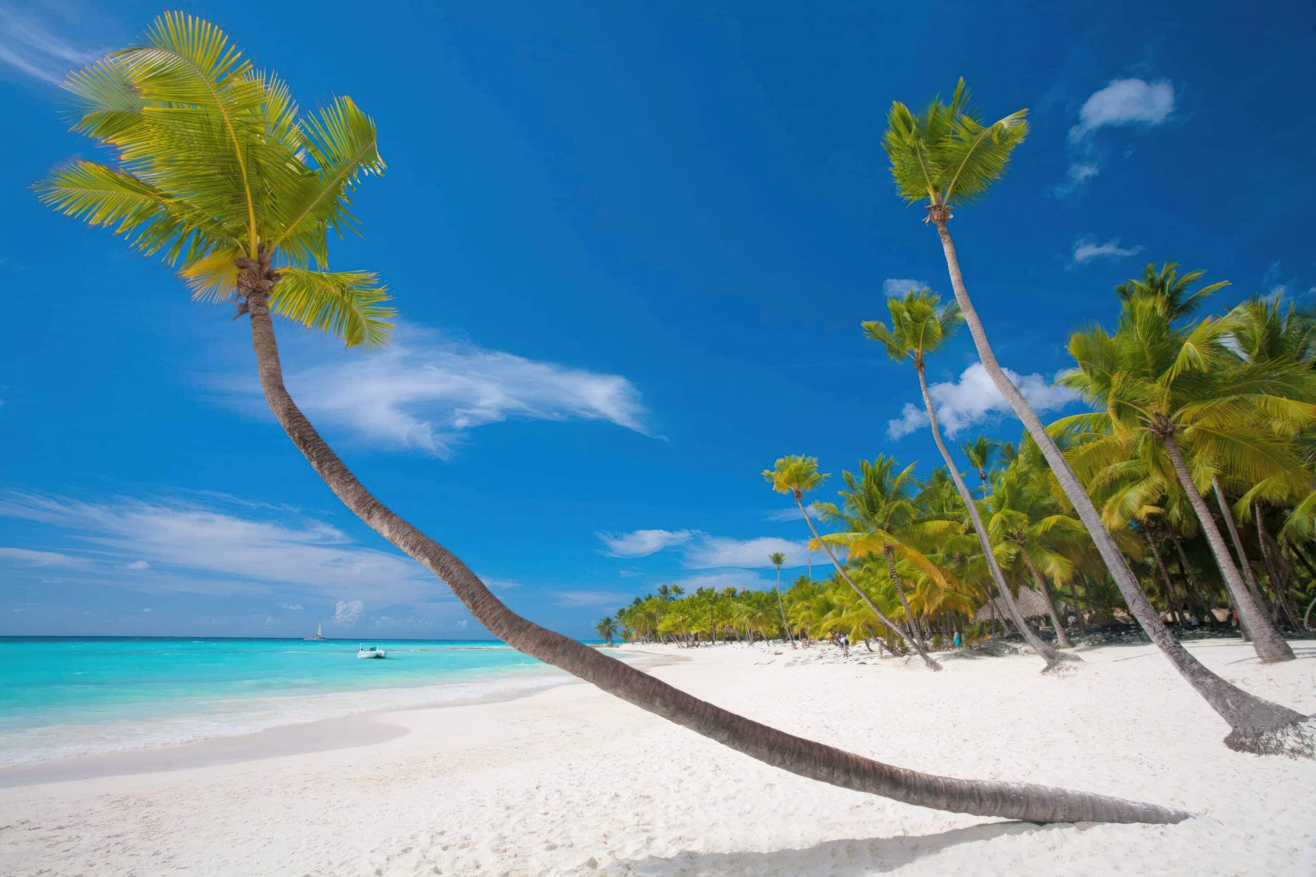 Home Panoramic View Of Nungwi Beach In Zanzibar Easy Travel Tanzania Scaled 1