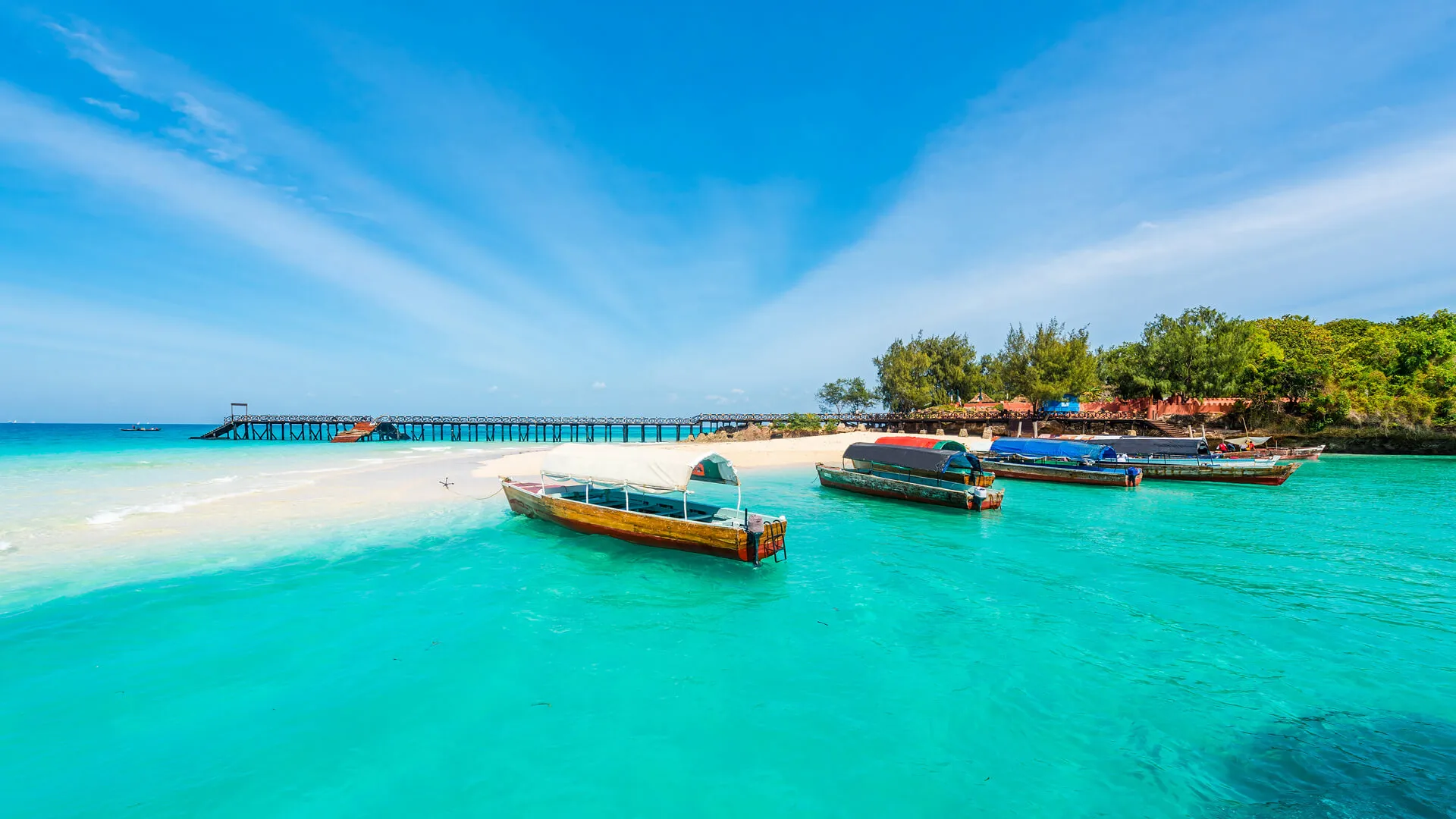 Home Zanzibar