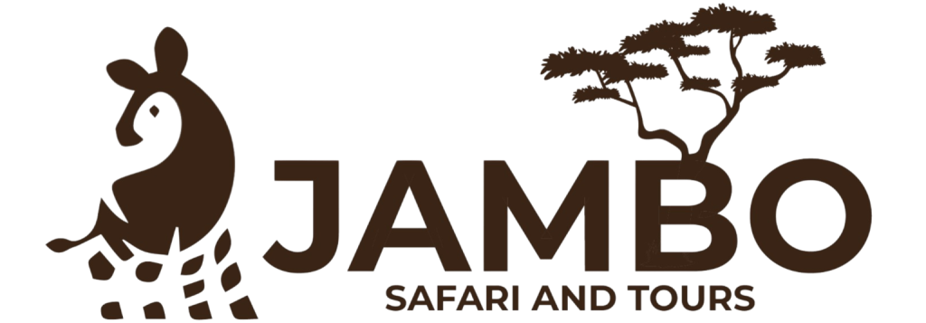 cropped cropped 2 1 1536x536